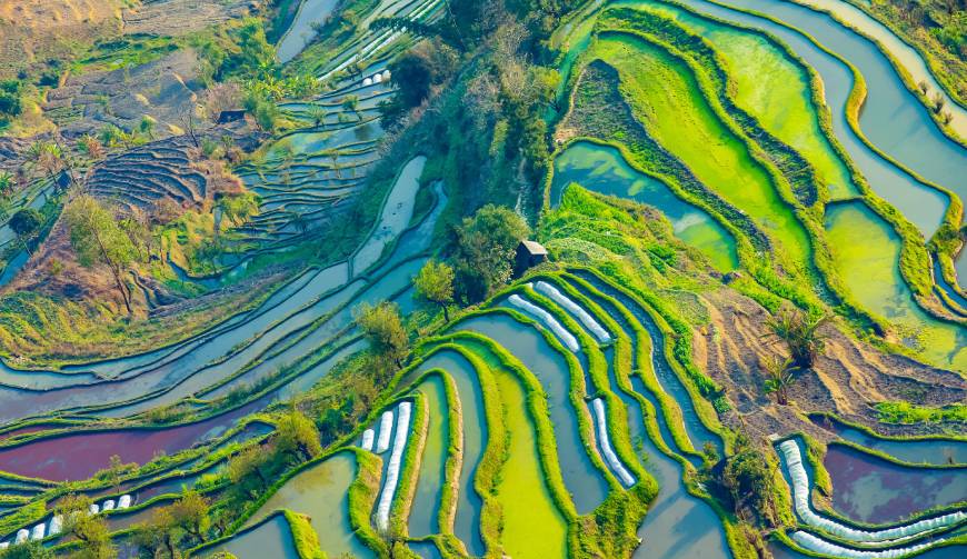 走进茄子河区TVC拍摄：解锁本地化场景与创意镜头的完美融合
